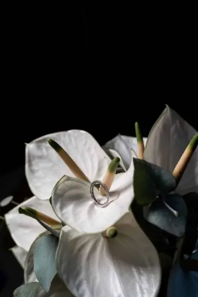 Hochzeitsfotograf Würzburg | Editorial & Documentary Style 17 Ehering auf weißen Blumen zur Hochzeit gelegt Villa Oriental
