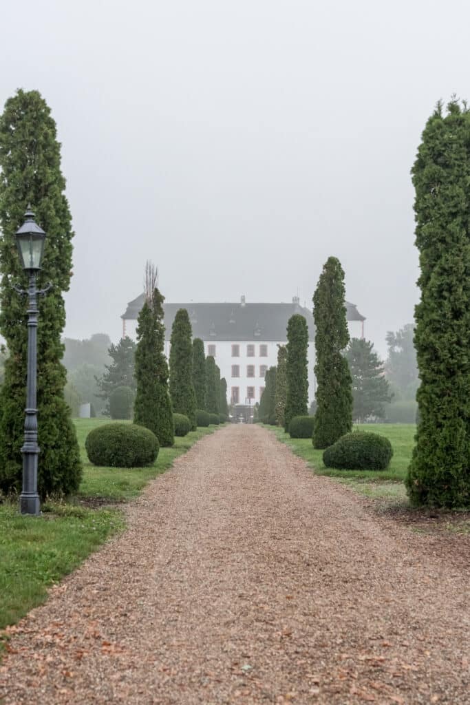 Schlossweg im Nebel mit symmetrischen Bäumen