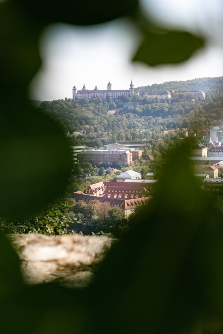 00101-florian-knusper-hochzeitsfotograf-wuerzburg-burg-hinter-baeumen-Schlosshotel Steinburg Wuerzburg
