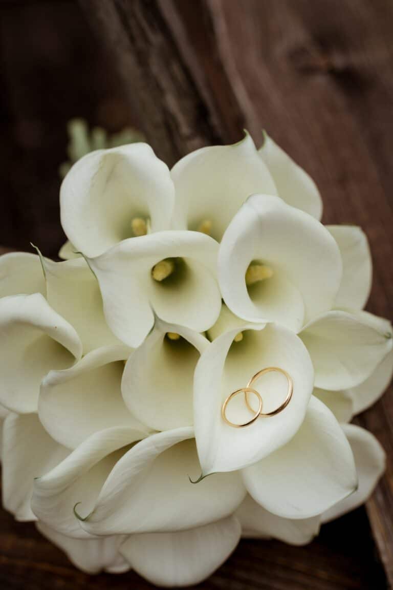 00620-florian-knusper-hochzeitsfotograf-wuerzburg-callas-mit-eheringen-Brückenbaron