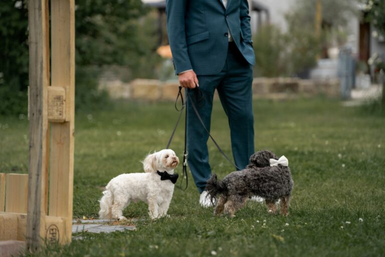 01189-florian-knusper-hochzeitsfotograf-wuerzburg-person-mit-zwei-hunden-Hotel Freihof Prichsenstadt