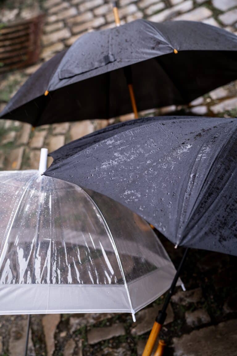 02104-florian-knusper-hochzeitsfotograf-wuerzburg-regenschirme-bei-hochzeit-Hotel Freihof Prichsenstadt