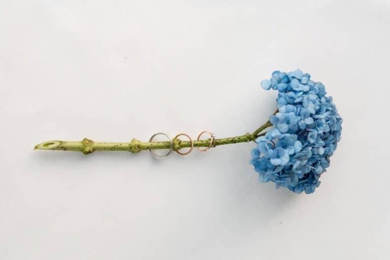 03238-florian-knusper-hochzeitsfotograf-wuerzburg-blaue-blume-mit-ringen-Kloster Bronnbach