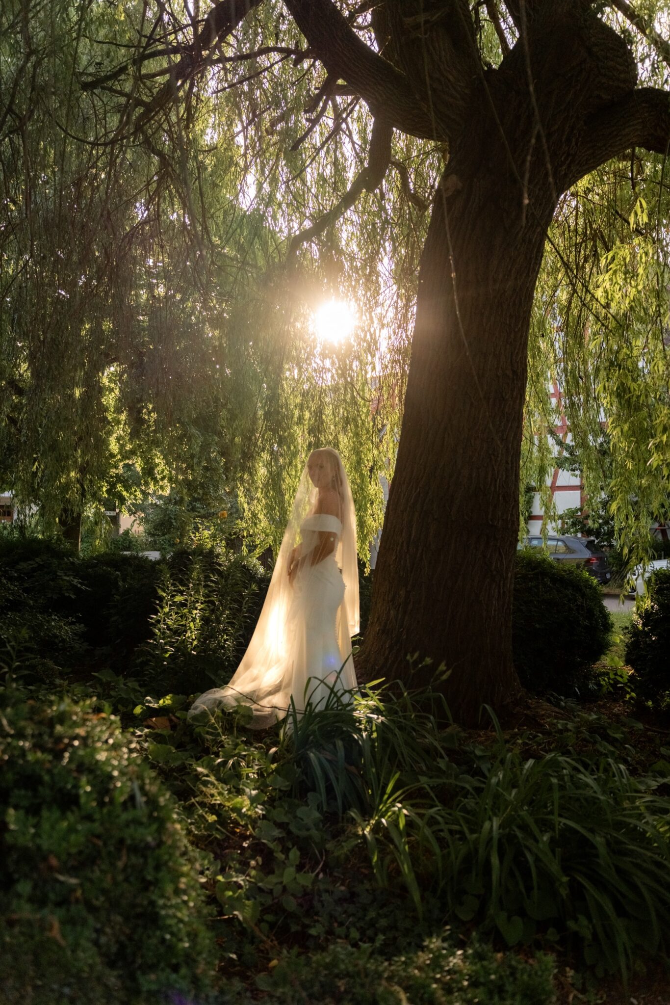 04469 florian knusper hochzeitsfotograf brautpaar unter weide gegenlicht winzerhof stahl 1
