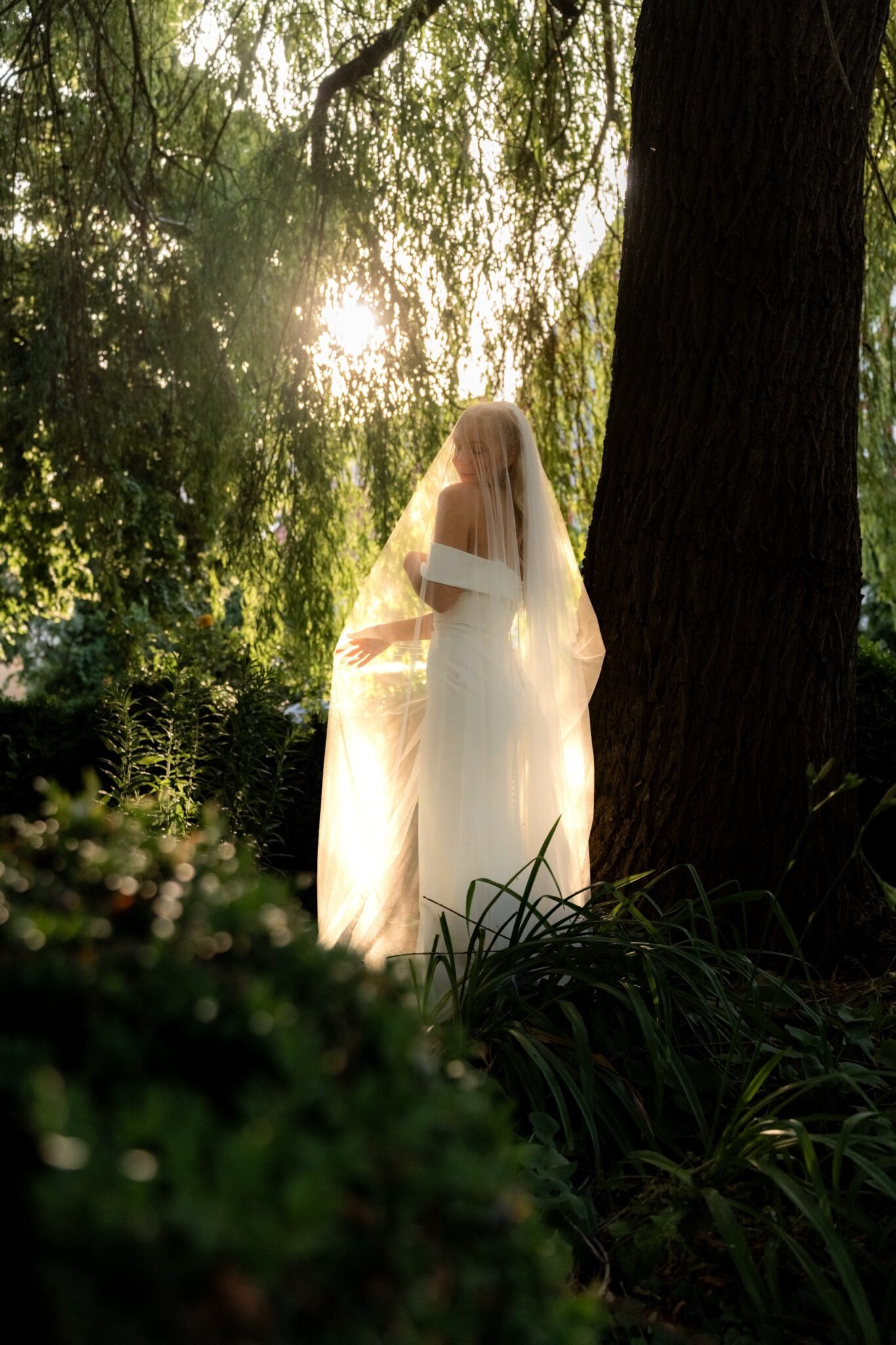 04508 florian knusper hochzeitsfotograf braut unter baum im gegenlicht winzerhof stahl 1