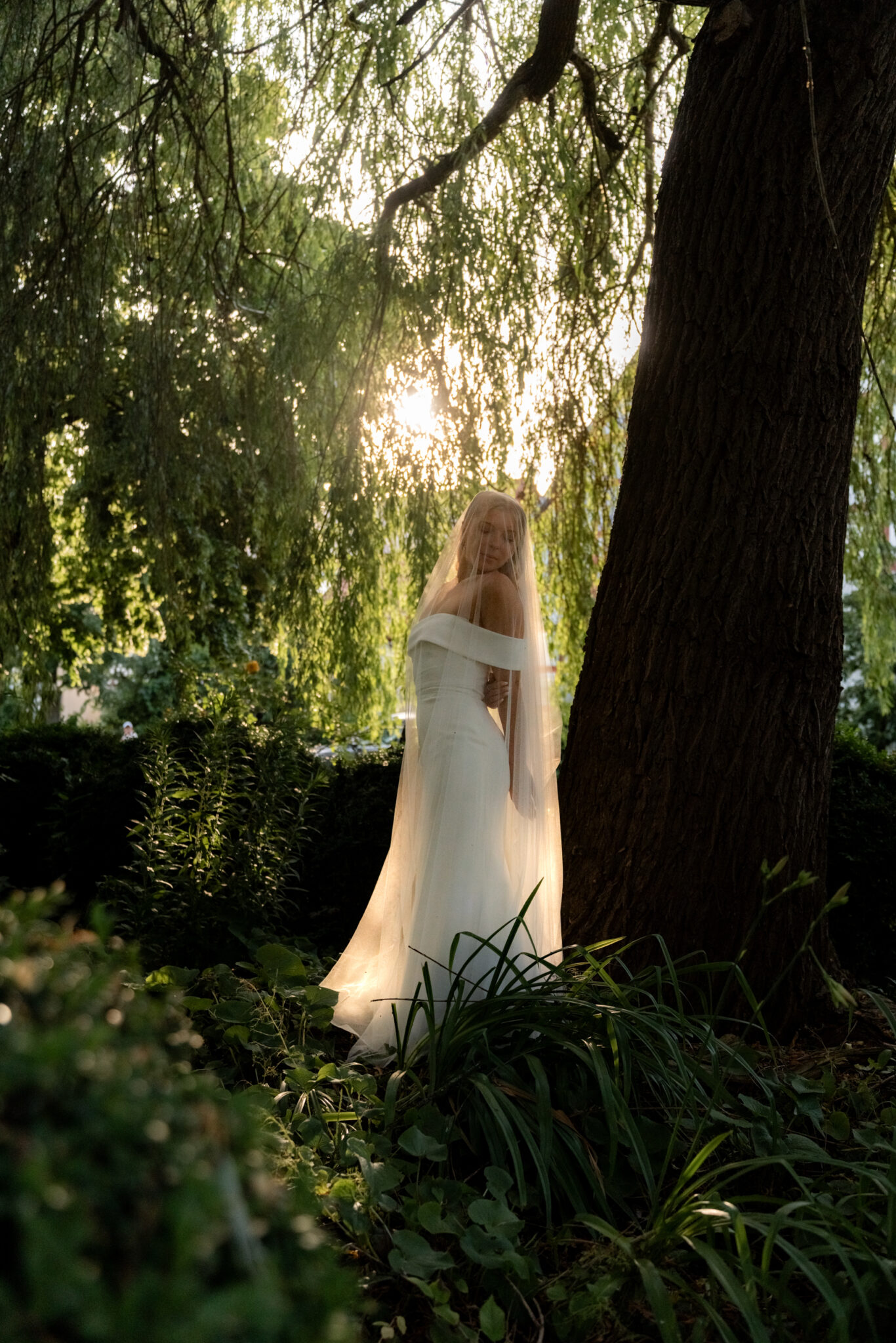 Braut im Schleier im Park unter Trauerweide bei Sonnenlicht