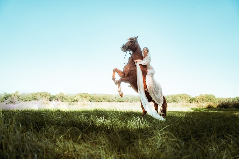 05116-florian-knusper-hochzeitsfotograf-wuerzburg-braut-mit-pferd-im-feld-Dänischer Pavillon