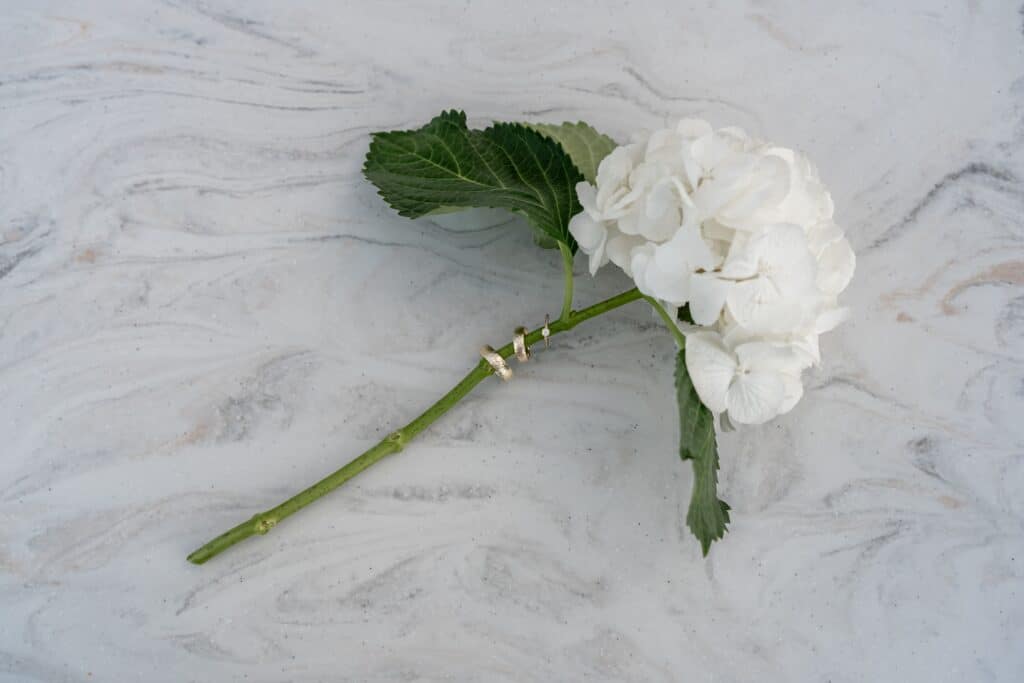 Weiße Blume mit Eheringen auf Marmoroberfläche