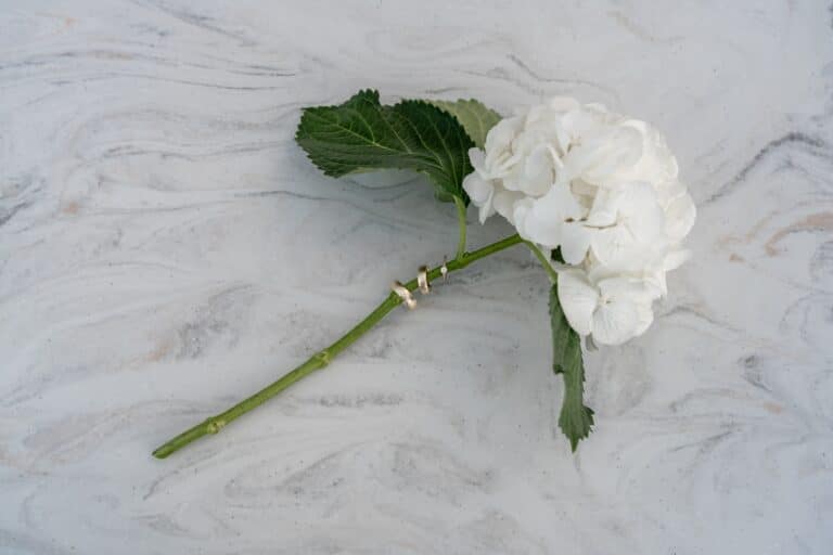 05809-florian-knusper-hochzeitsfotograf-wuerzburg-weisse-blume-auf-marmor-Villa Oriental