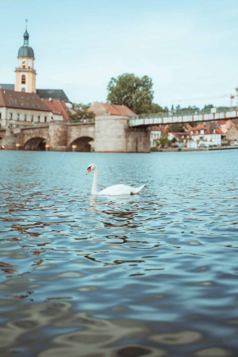 Hochzeit Stadtbalkon Kitzingen Freie Trauung Gleichgeschlechtliche Ehe LGBTQ Hochzeitsfotograf Würzburg Florian Knusper First Look Fotoshooting