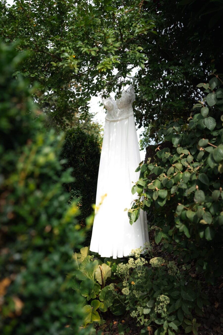 Brautkleid hängt im Garten zwischen Bäumen