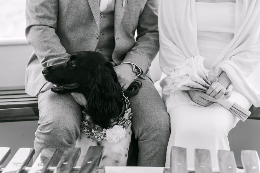 Brautpaar auf Bank mit Hund und Calla-Strauß