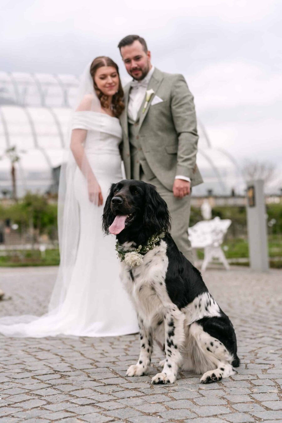 Hochzeit Insel Mainau Bodensee – Heiraten am Bodensee 54 Brautpaar mit geschmücktem Hund vor Gewächshaus