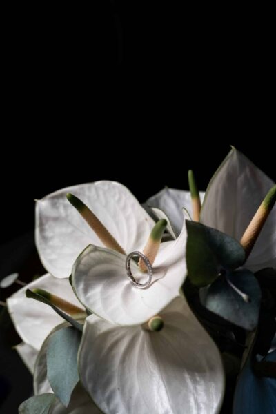 Ehering auf weißen Blumen zur Hochzeit gelegt Villa Oriental