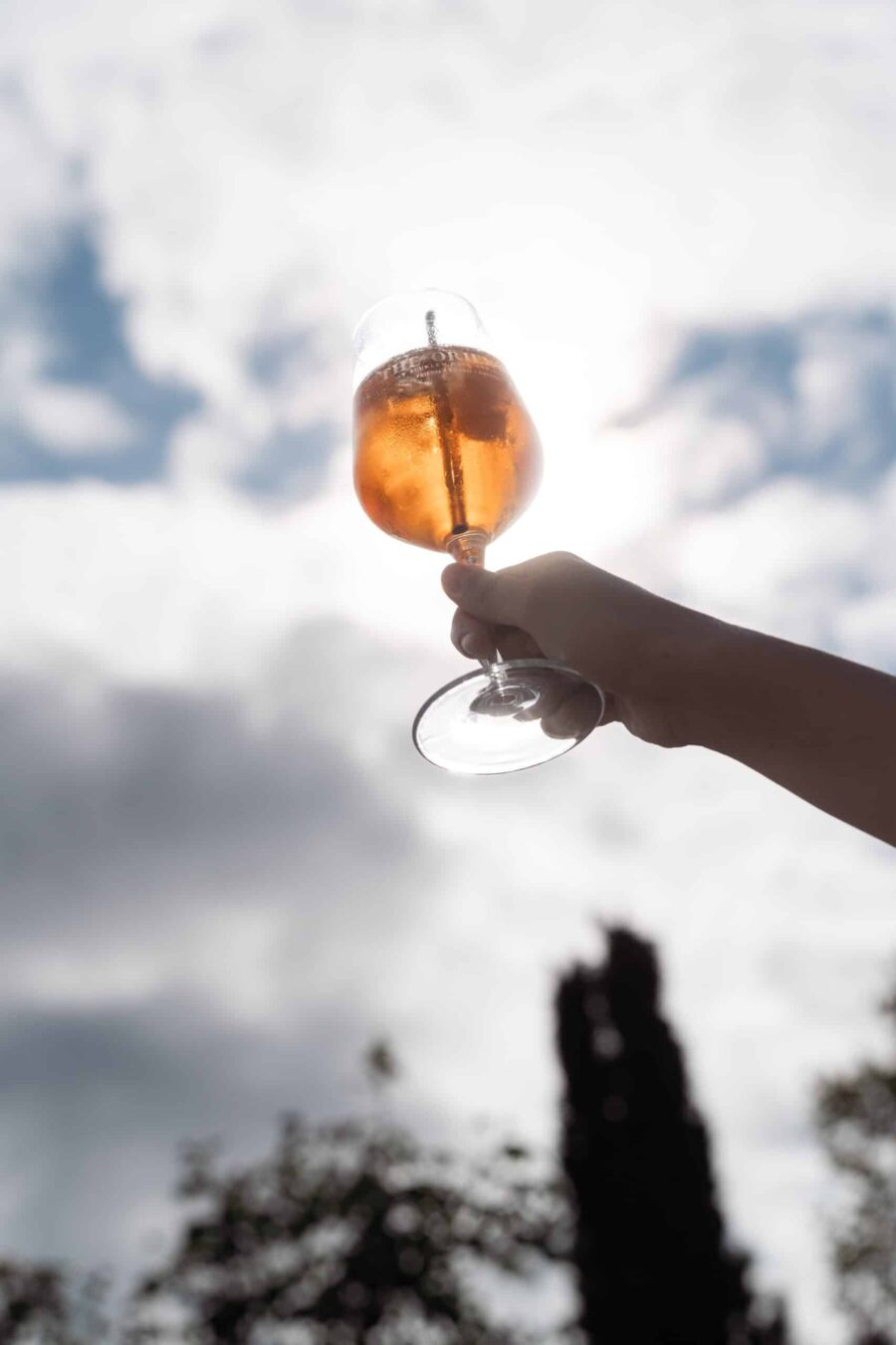 Cocktailglas im Sonnenschein bei Gartenhochzeit