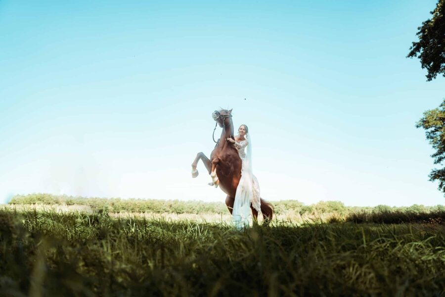 Braut auf Pferd in sommerlicher Wiesenlandschaft