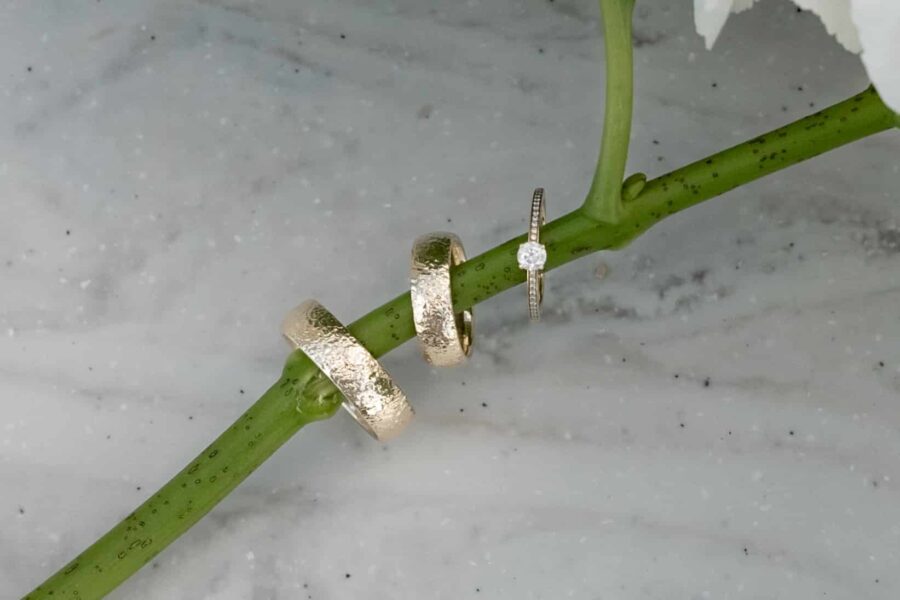 Eheringe und Verlobungsring auf grünem Zweig