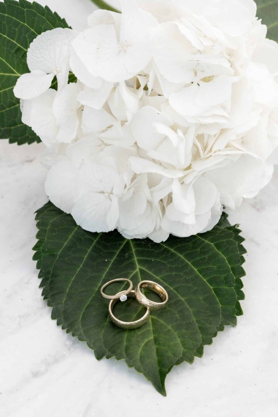 Trauringe auf weißen Blüten und grünen Blättern